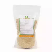 0.1 kg