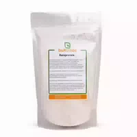 Buxtrade Reisprotein Pulver