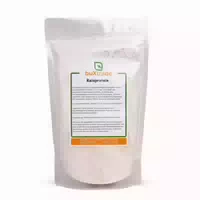 Buxtrade Reisprotein Pulver