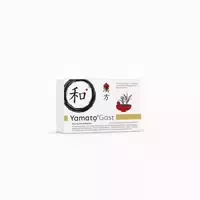 Yamatogast 63 St