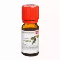 Caelo Eucalyptusöl Profuma 10 Ml 10 Ml Ätherisches Öl