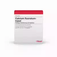 Calcium Fluoratum Injeel Ampullen 10 St