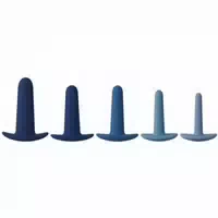 Calexotics They Ology Analplug Trainingsset