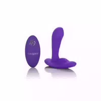 Calexotics Remote Pinpoint Pleaser
