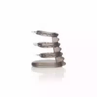 Calexotics Support Master Triple Ticklers