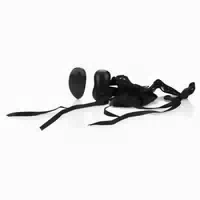 Calexotics Vibrations Tanga mit Fernbedienung 1 st