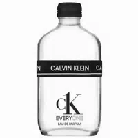 Calvin Klein Ck Everyone Eau De Parfum Ck Everyone Edp 100 Ml