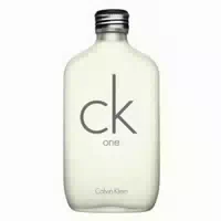 Calvin Klein Ck One Essence Eau De Parfum Edp