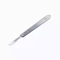 Halter 3 Mit Klinge Rostfrei, 12 Cm 1 St