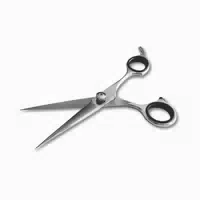 Premium Haarschere Aus Japanischem Edelstahl, 16,5 Cm 1 St