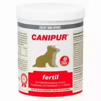 Canipur Gravid