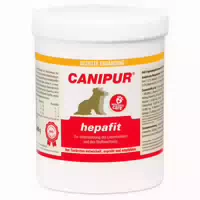 Canipur Hepafit