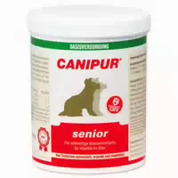 Canipur Senior