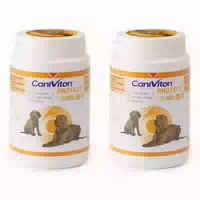 Caniviton Protect