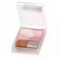Canmake Glow Fleur Cheeks Blend Type 6 3g B02 Rose Ballerina