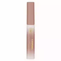 Canmake Smart Mini Eyebrow Color 4 9g 03 Sakura Brown