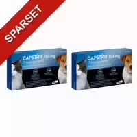 Capstar 11,4 Mg Für Katzen Und Kleine Hunde 6 St Tabletten