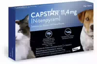 Capstar 11,4 mg für Katzen und Kleine Hunde 6 st Tabletten