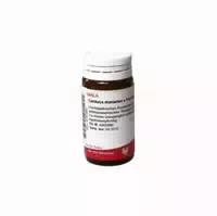 Carduus Marianus E Fructibus D