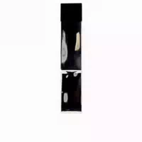 Carolina Herrera Bad Boy Superstars Edt Limitierte Edition