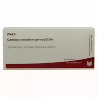 Cartilago Articularis Genus Gl D4 10x1 Ml Ampullen