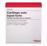 Cartilago Suis Injeel Ampullen 10 St Ampullen