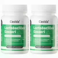 Casida Lactobacillus Gasseri