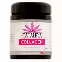 Collagen Kapseln – Hydrolysiertes Fischkollagen Typ I | Nahrungsergänzung