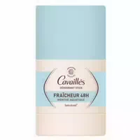 Cavaillès Deo Stick Frische 48h Aquatische Minze
