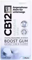 Cb12 Boost Eukalyptus White 10 Kaugummis