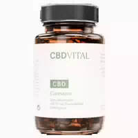 Cbd Vital Cannazin Kapseln mit Ingwer & Cbd Fürs Immunsystem 60 st