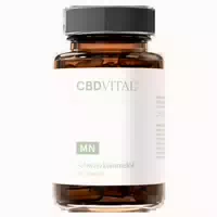 Cbd Vital Schwarzkümmelöl Kapseln | Rein & Naturbelassen 60 st