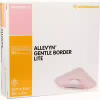 Allevyn Gentle Border Lite 5x5 Cm Schaumverb 10 St Verband