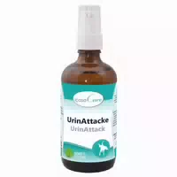 Urin Attacke Vet Für Tiere