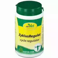 Zyklus Regulat 120 g