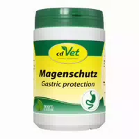 Magenschutz