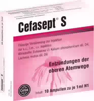 Cefasept S 100 St Injektionslösung