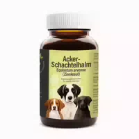 Ackerschachtelhalm 160 g