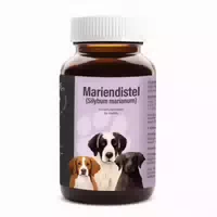 Cellavita Mariendistel für Hunde