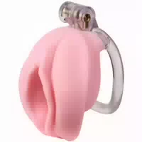 Cellmate Pussyfyer Keuschheitskäfig