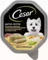 Cesar Garten Terrine mit Lamm, Karotten und einem Hauch Koriander in Gelee