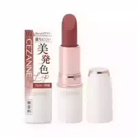 Cezanne Lasting Stay Lip 4g 02 Warm Brown