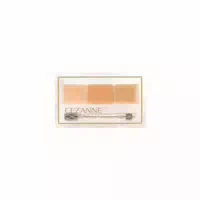 Cezanne Palette Concealer High Cover 4 5g 10 Basic Tones