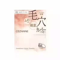 Cezanne Seamless Cover Powder 4 5g 01 Foggy Beige