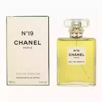 Chanel No 19 Eau De Parfum 100ml 0,1 L