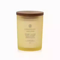 Chesapeake Bay Strength Energy Duftkerze 250 g 0,25 kg