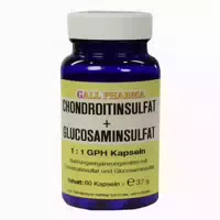 Gall Pharma Chondroitinsulfat Glucosaminsulfat 1:1