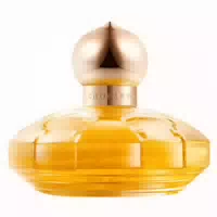 Casmir Eau De Parfum 100 Ml