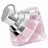 Pink Wish Eau De Parfum 30 ml