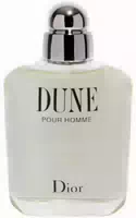 Dior Dune Pour Homme Eau De Toilette 100 ml